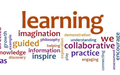 The Anatomy of a Great Lesson